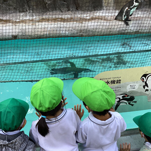 水族館のペンギンを眺める子どもたち