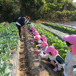 広々とした農園に一列に並んで野菜の苗を植える子どもたち