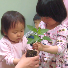 野菜の苗を植える子どもたち